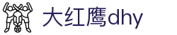 大红鹰dhy(中国)有限公司官网